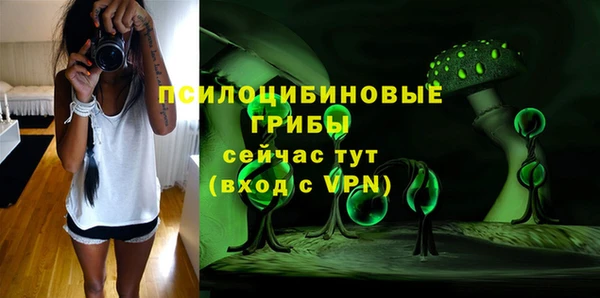 apvp Нязепетровск
