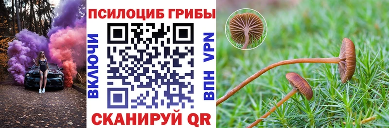 Псилоцибиновые грибы мицелий  дарнет шоп  Кострома 