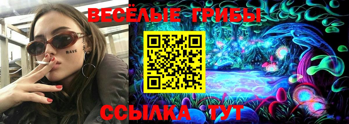 Кострома  Псилоцибиновые грибы мицелий  Вход с VPN  Галлюциногенные грибы Psilocybine cubensis 